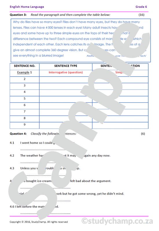 Grade 6 English Worksheet: Sentences - Types and Structure