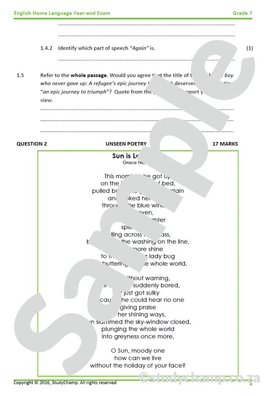 Grade 7 English Year-end Exam Revision:  Comprehension, Language and Visual Literacy
