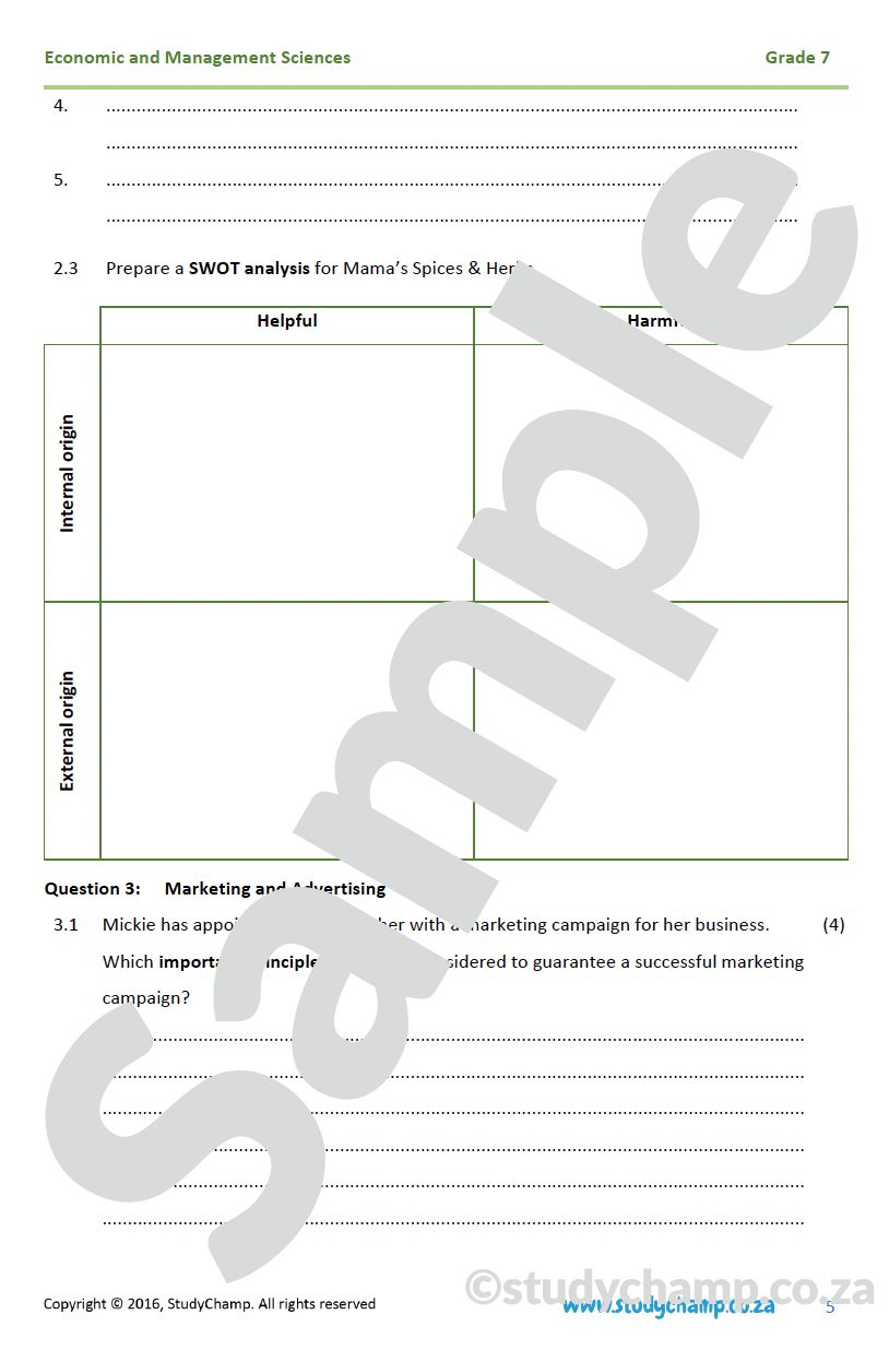 Grade 7 EMS Test: Entrepreneurs and new businesses