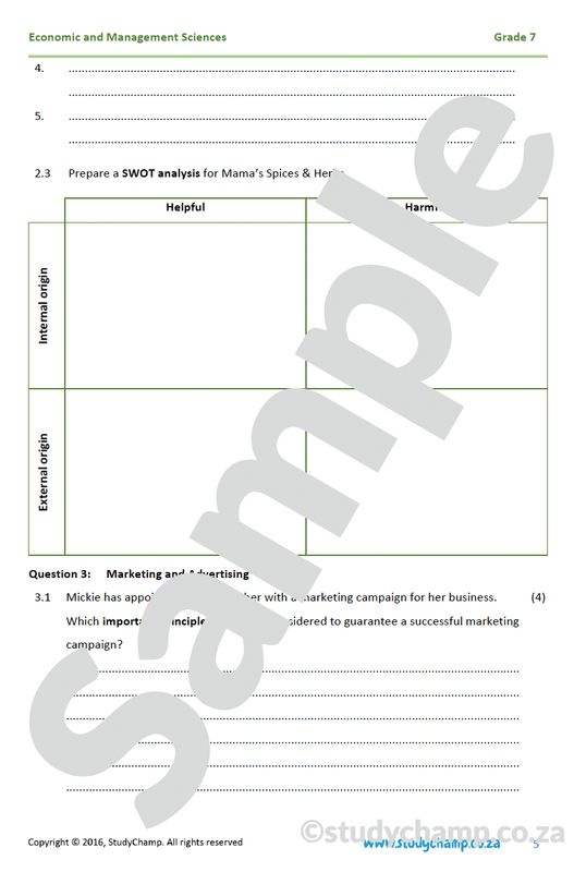 Grade 7 EMS Test: Entrepreneurs and new businesses