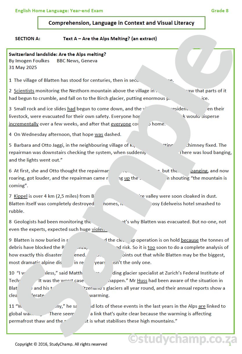 Grade 8 English Year-end Exam Revision: Comprehension and Language