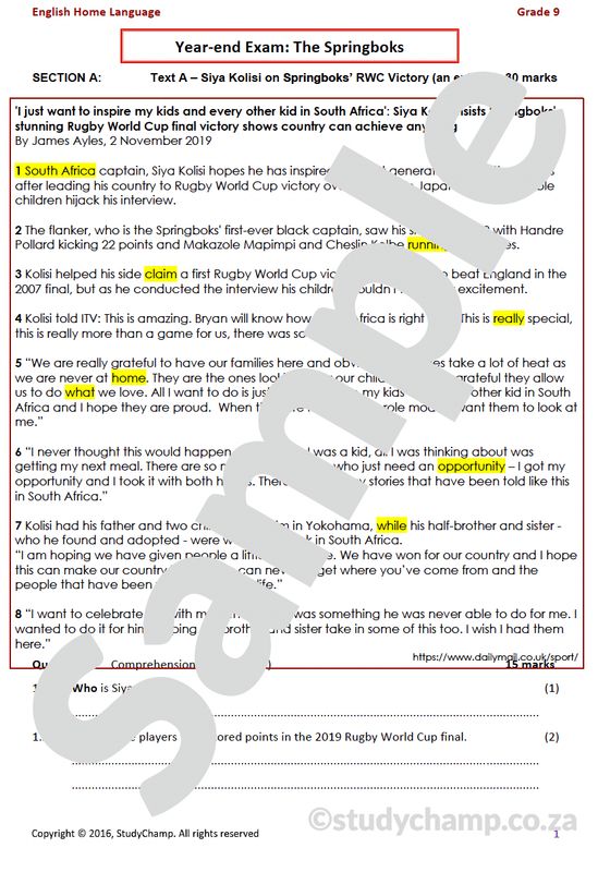 Grade 9 English Year-end Exam Revision: Comprehension and Language