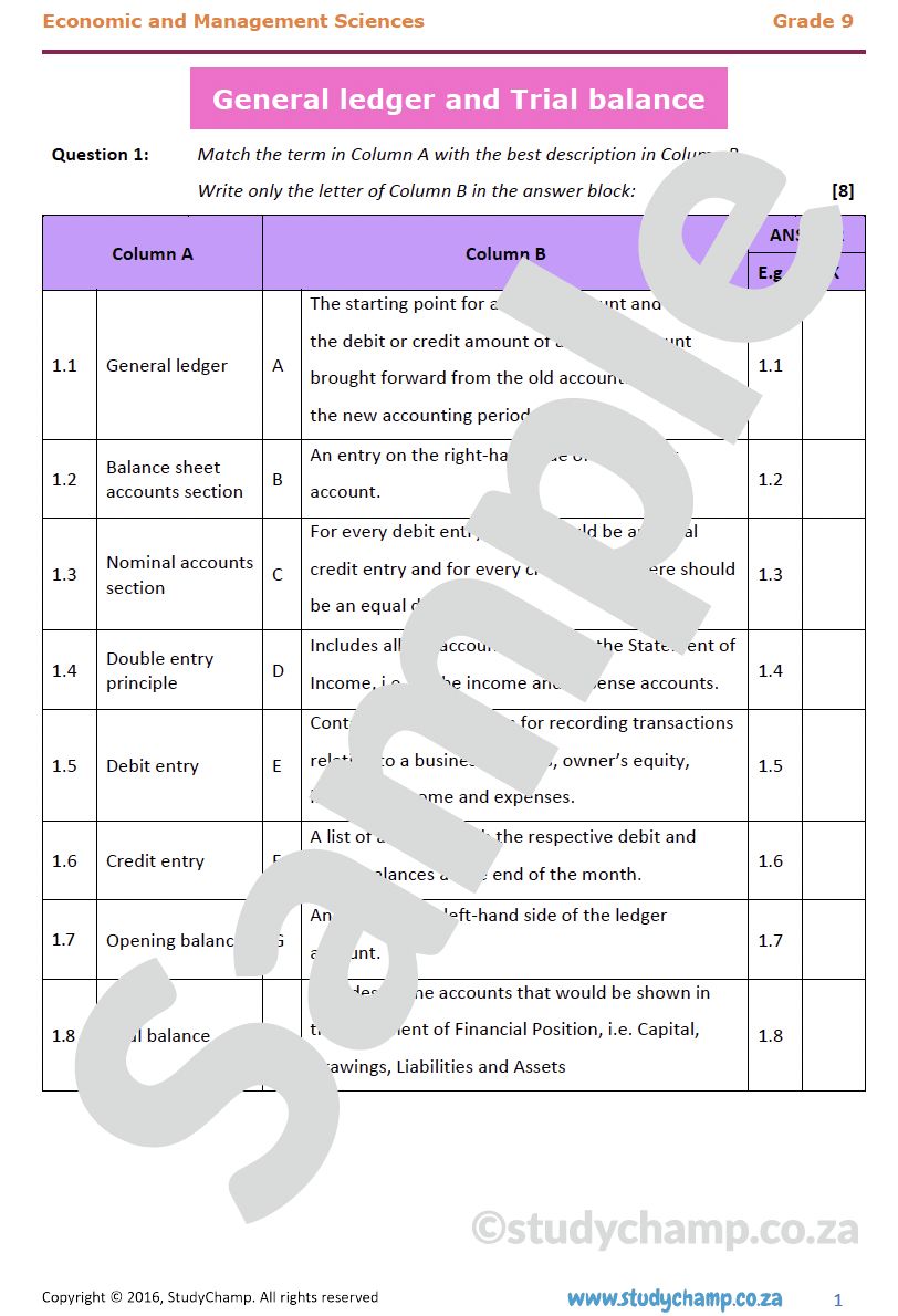 Grade 9 Economic and Management Sciences Bundle