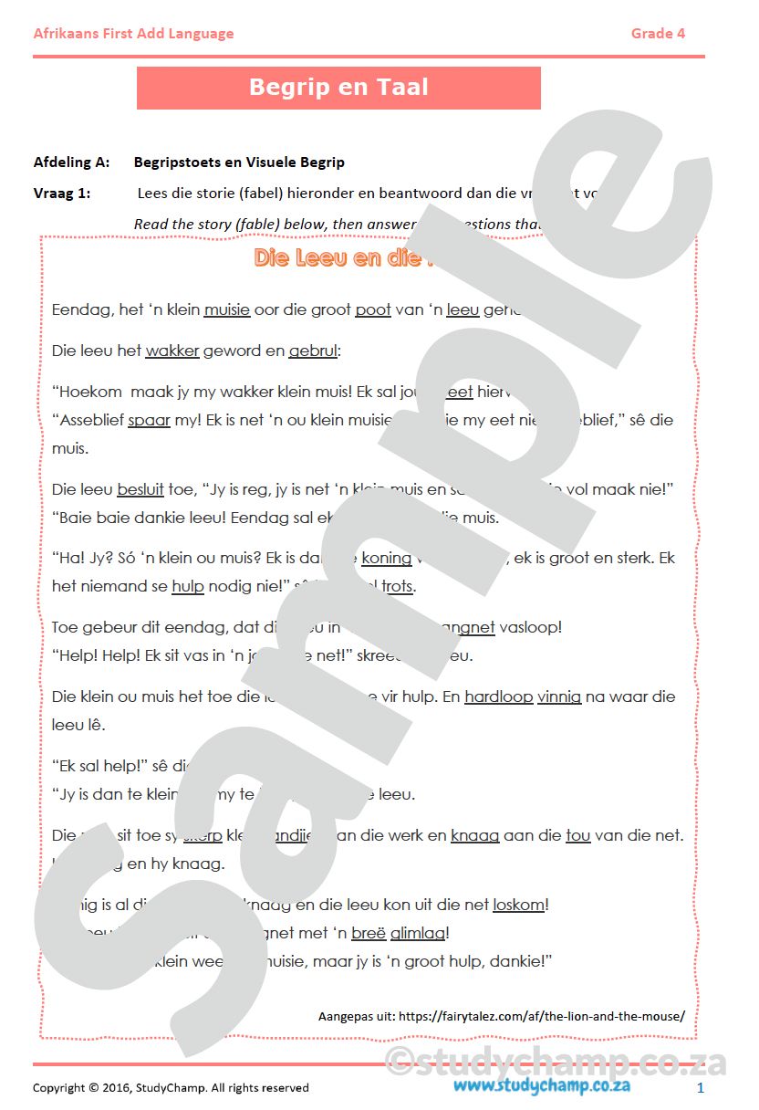Grade 4 Year-end Exam Bundle