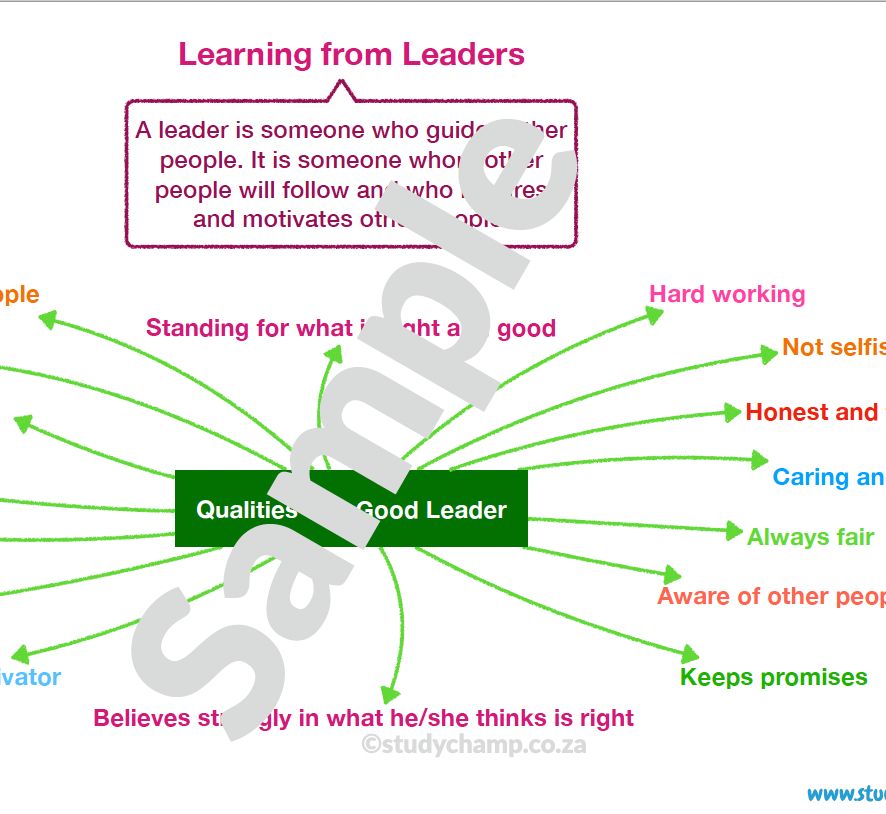 Grade 4 Social Sciences Bundle