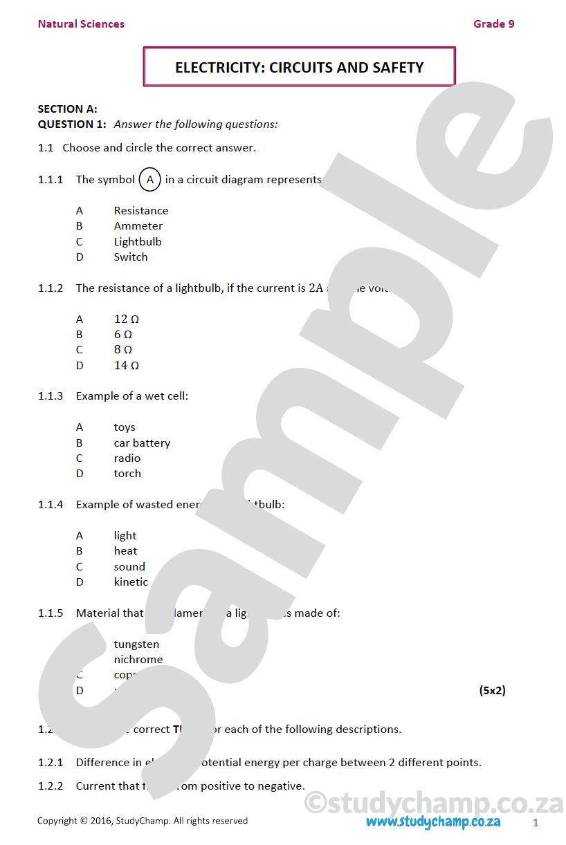 Grade 9 Natural Sciences Test: Electricity and Circuits