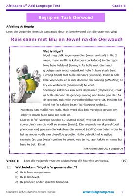 Grade 6 Afrikaans First Additional Language Bundle
