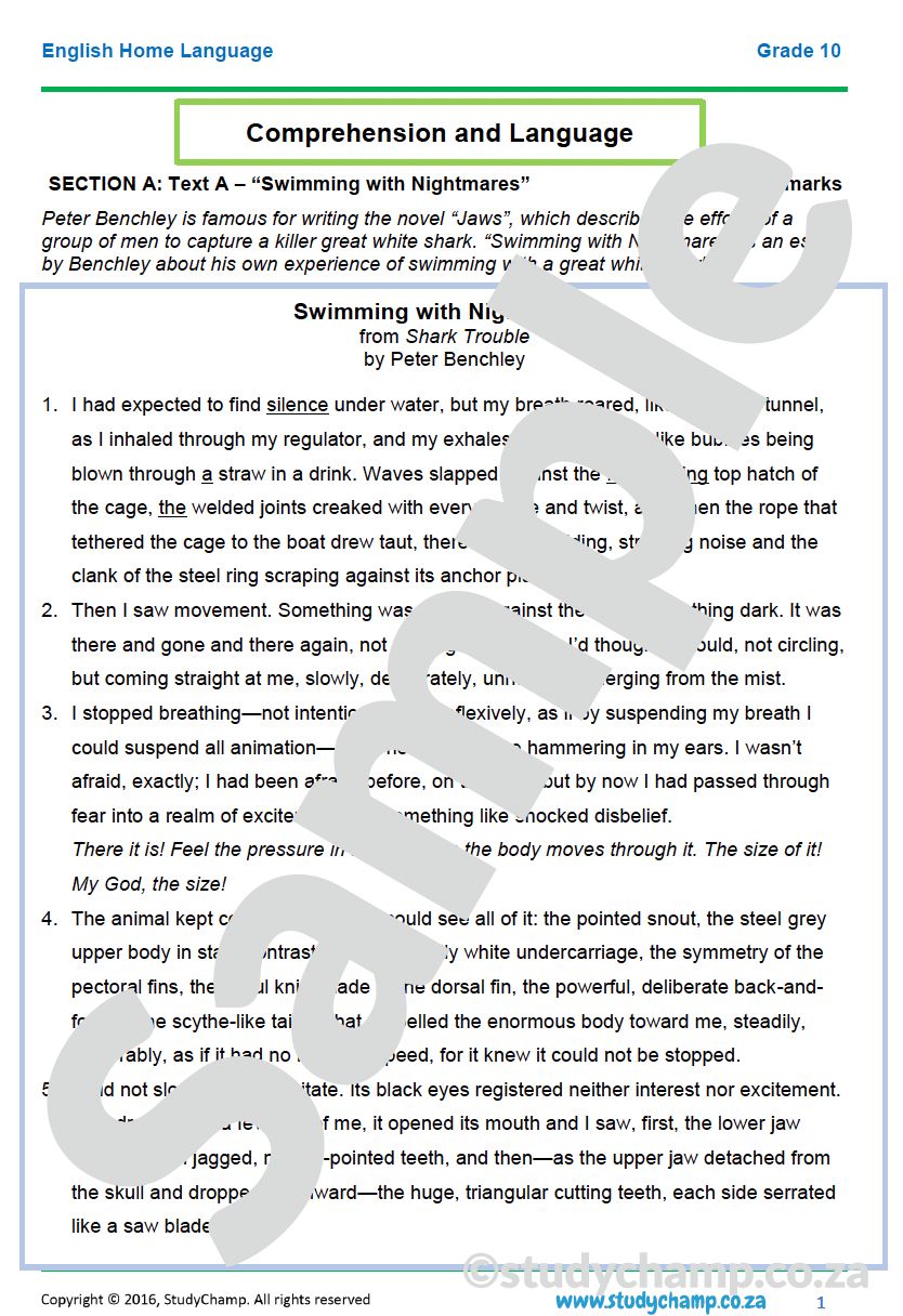 Grade 10 English Year-end Exam Revision: Comprehension and Language