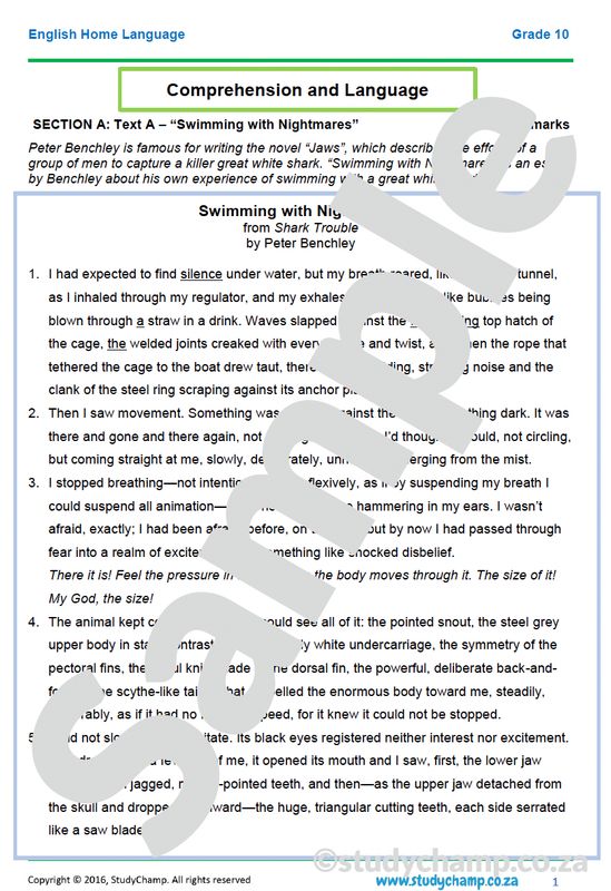 Grade 10 English Year-end Exam Revision: Comprehension and Language