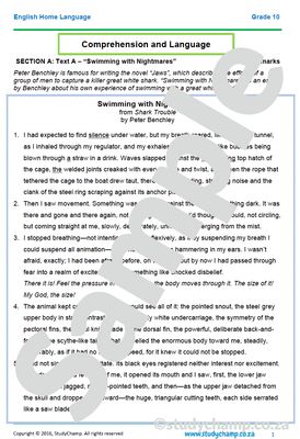 Grade 10 English Year-end Exam Revision: Comprehension and Language
