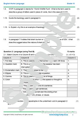 Grade 10 English Year-end Exam Revision: Comprehension and Language