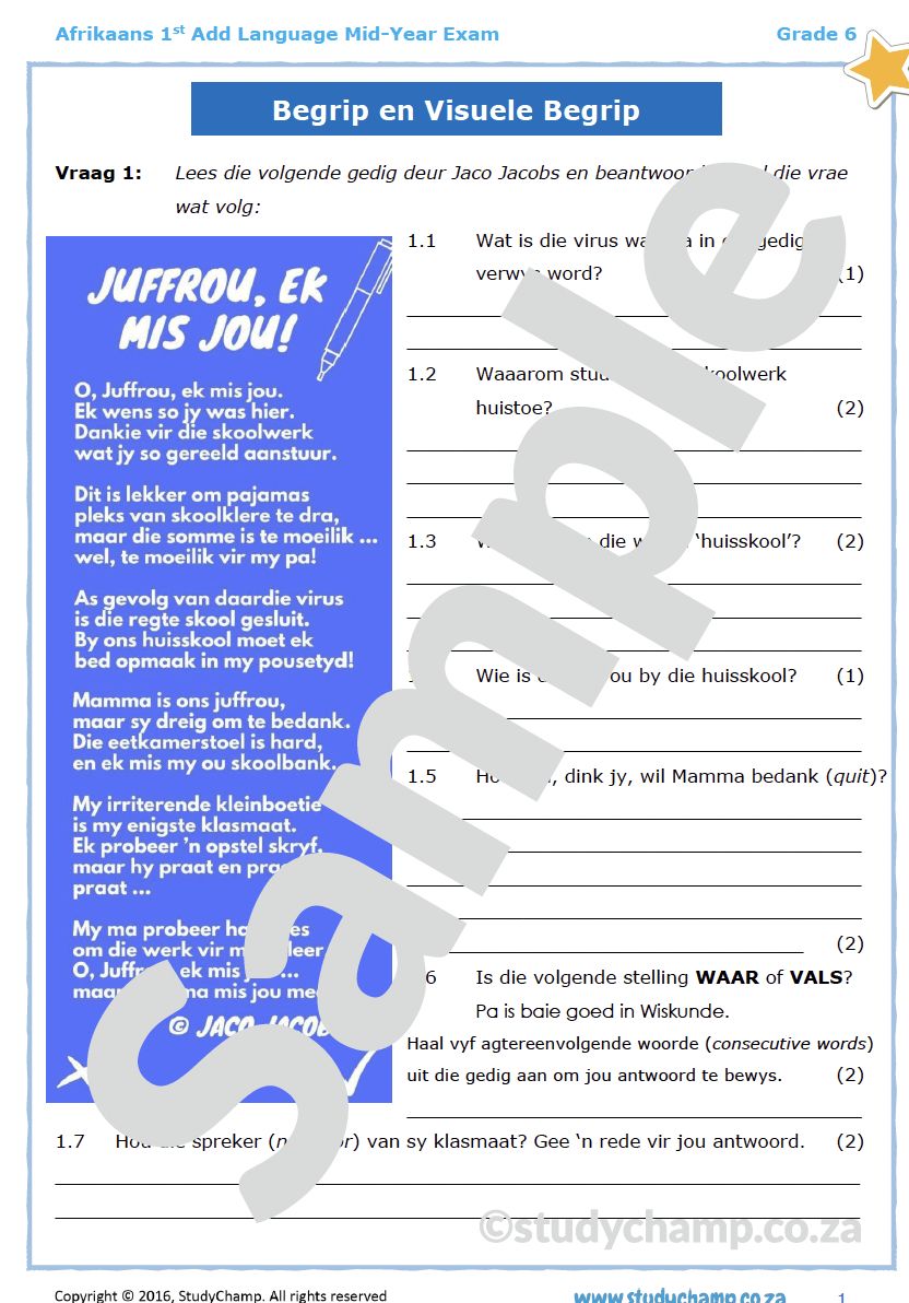 Grade 6 Mid-Year Exam Bundle