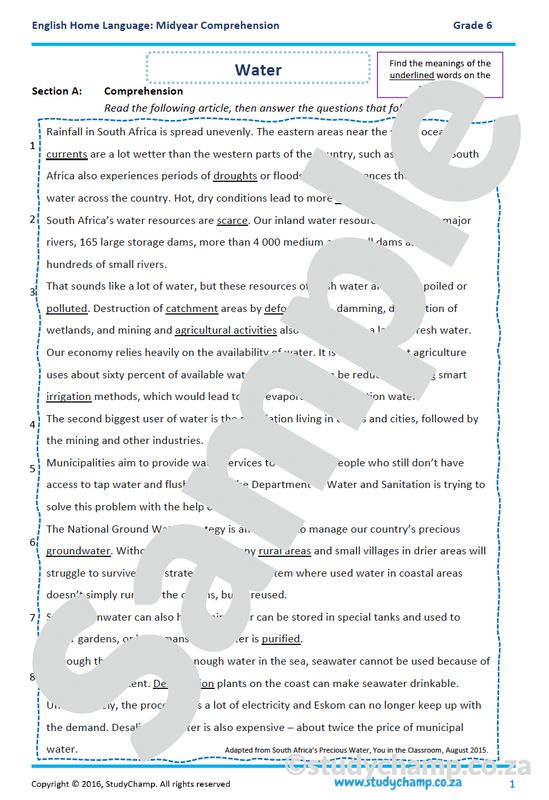 Grade 6 Mid-Year Exam Bundle