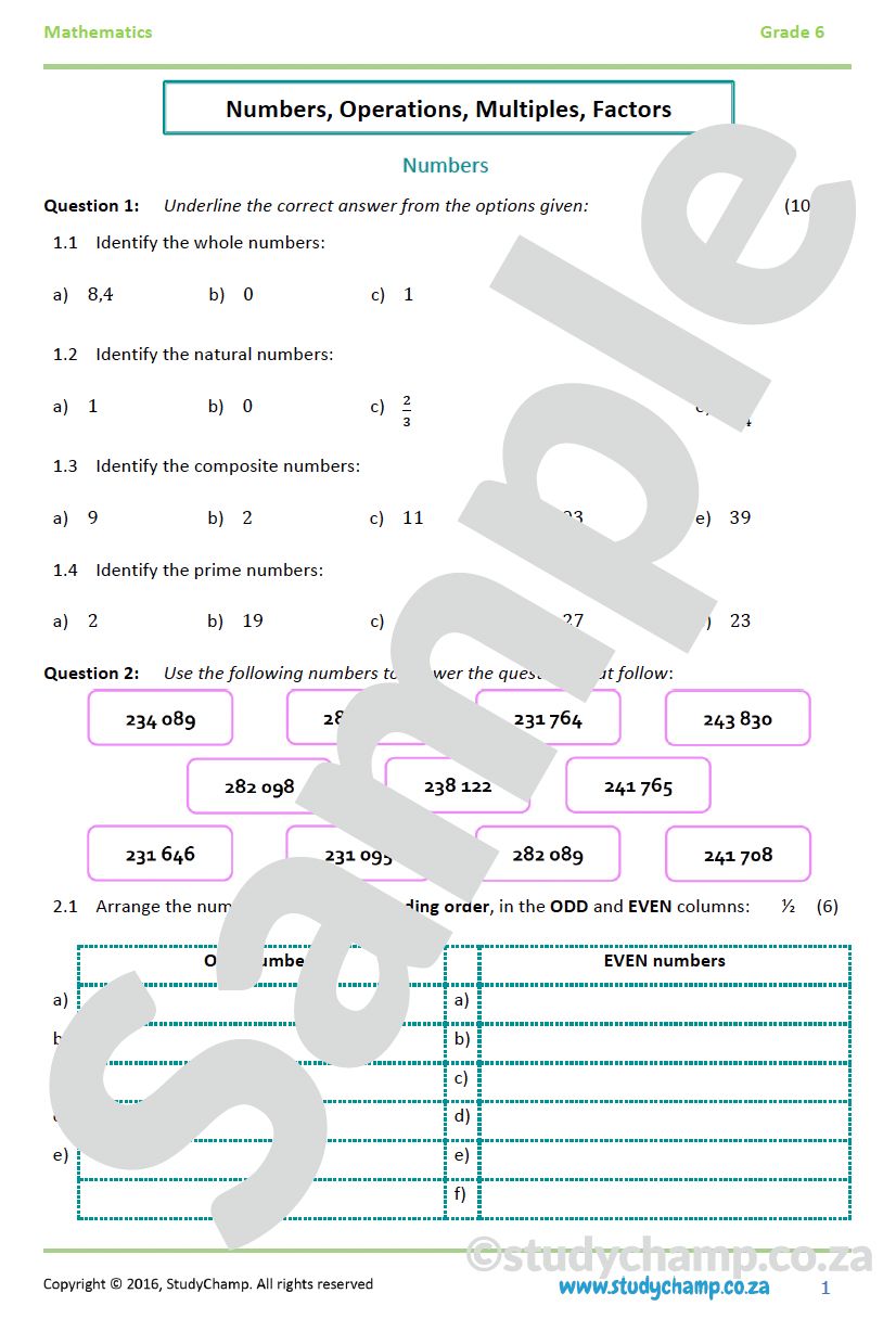 Grade 6 Mid-Year Exam Bundle