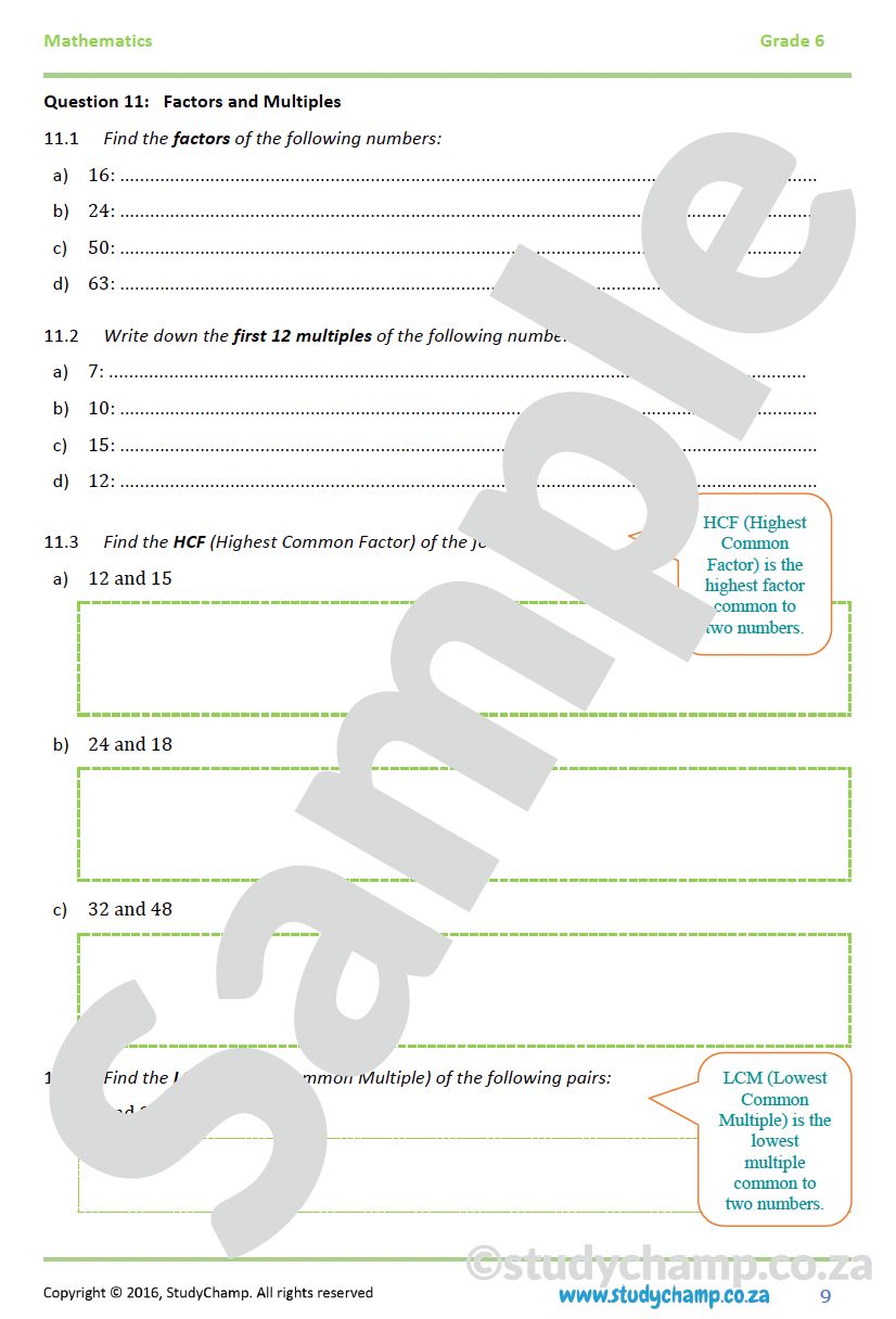Grade 6 Mid-Year Exam Bundle
