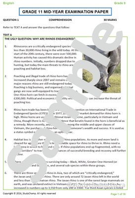Grade 11 Mid-Year Exam Bundle
