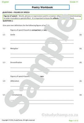 Grade 11 IEB English Home Language Bundle