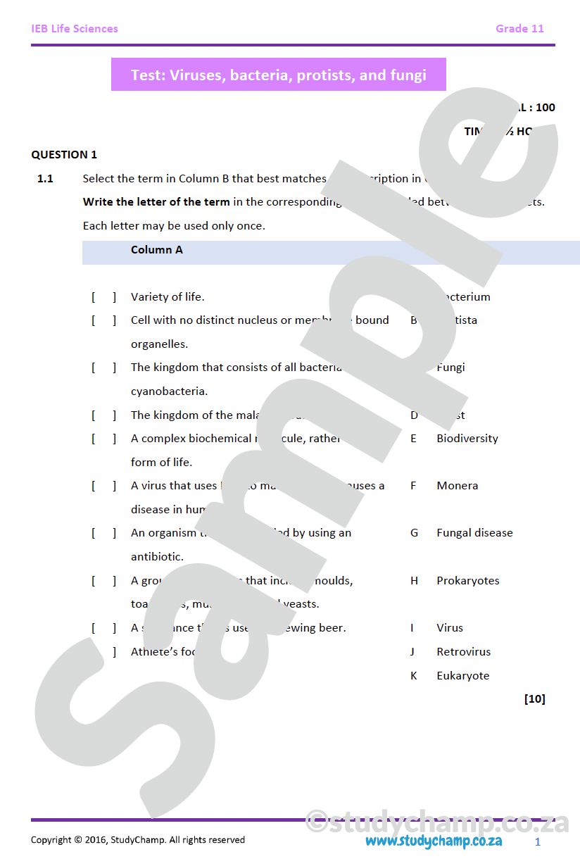 Grade 11 Life Sciences Test (IEB): Viruses, protists, bacteria and fungi