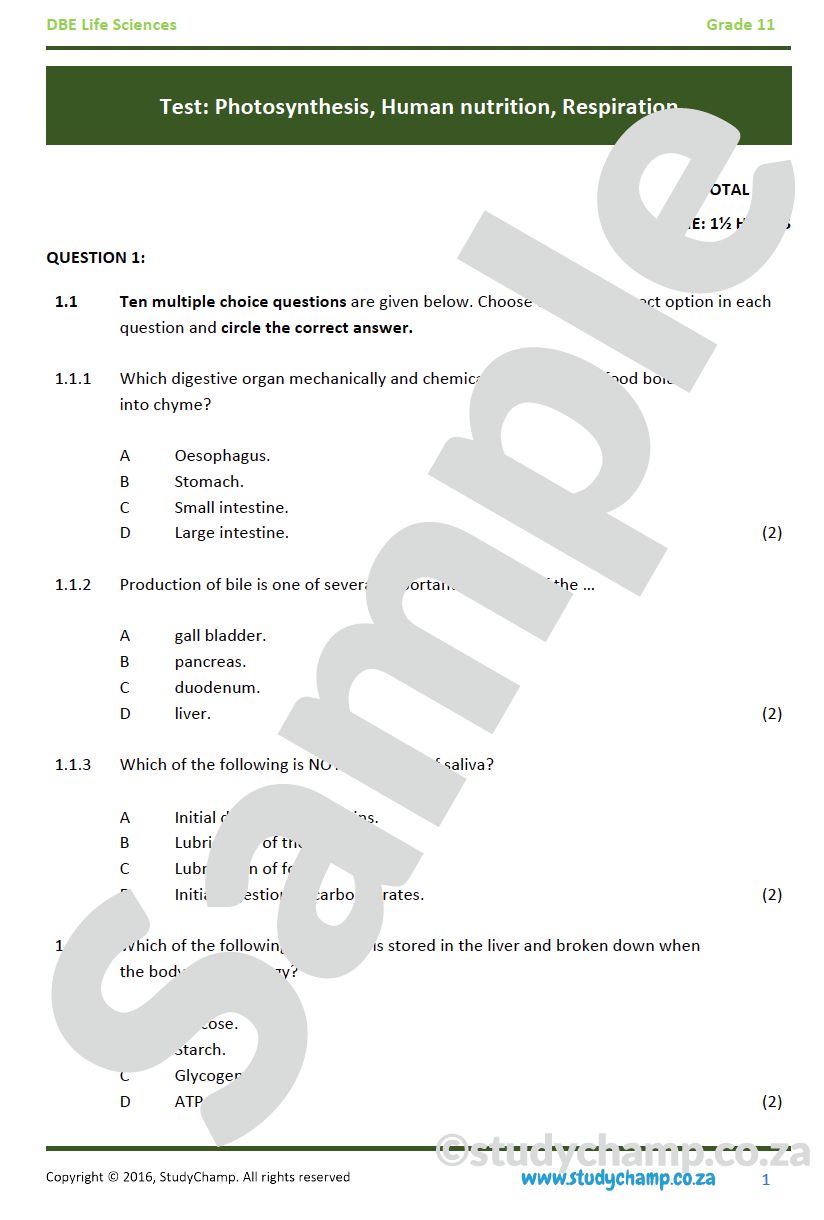 Grade 11 Life Sciences Test (DBE): Biodiversity and Classification, Micro-organisms and Plant reproduction