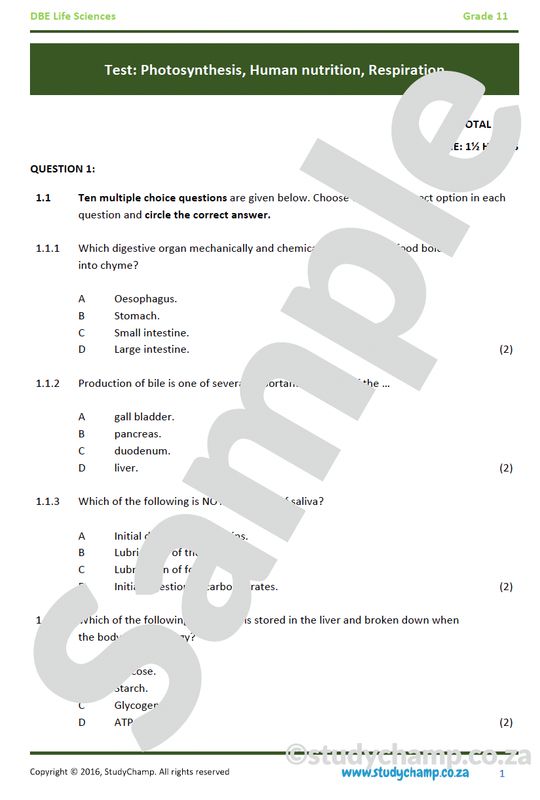 Grade 11 Life Sciences Test (DBE): Biodiversity and Classification, Micro-organisms and Plant reproduction
