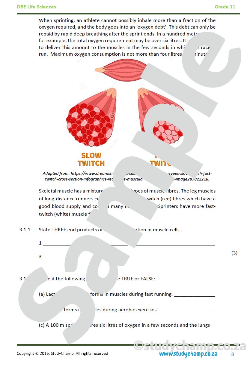 Grade 11 Life Sciences Test (DBE): Biodiversity and Classification, Micro-organisms and Plant reproduction
