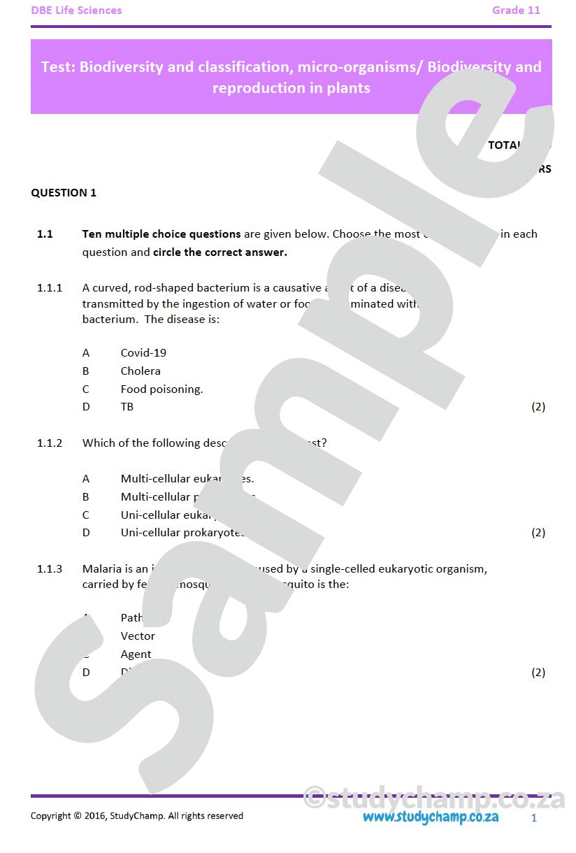 Grade 11 Life Sciences Test (DBE): Photosynthesis, Human nutrition and Respiration