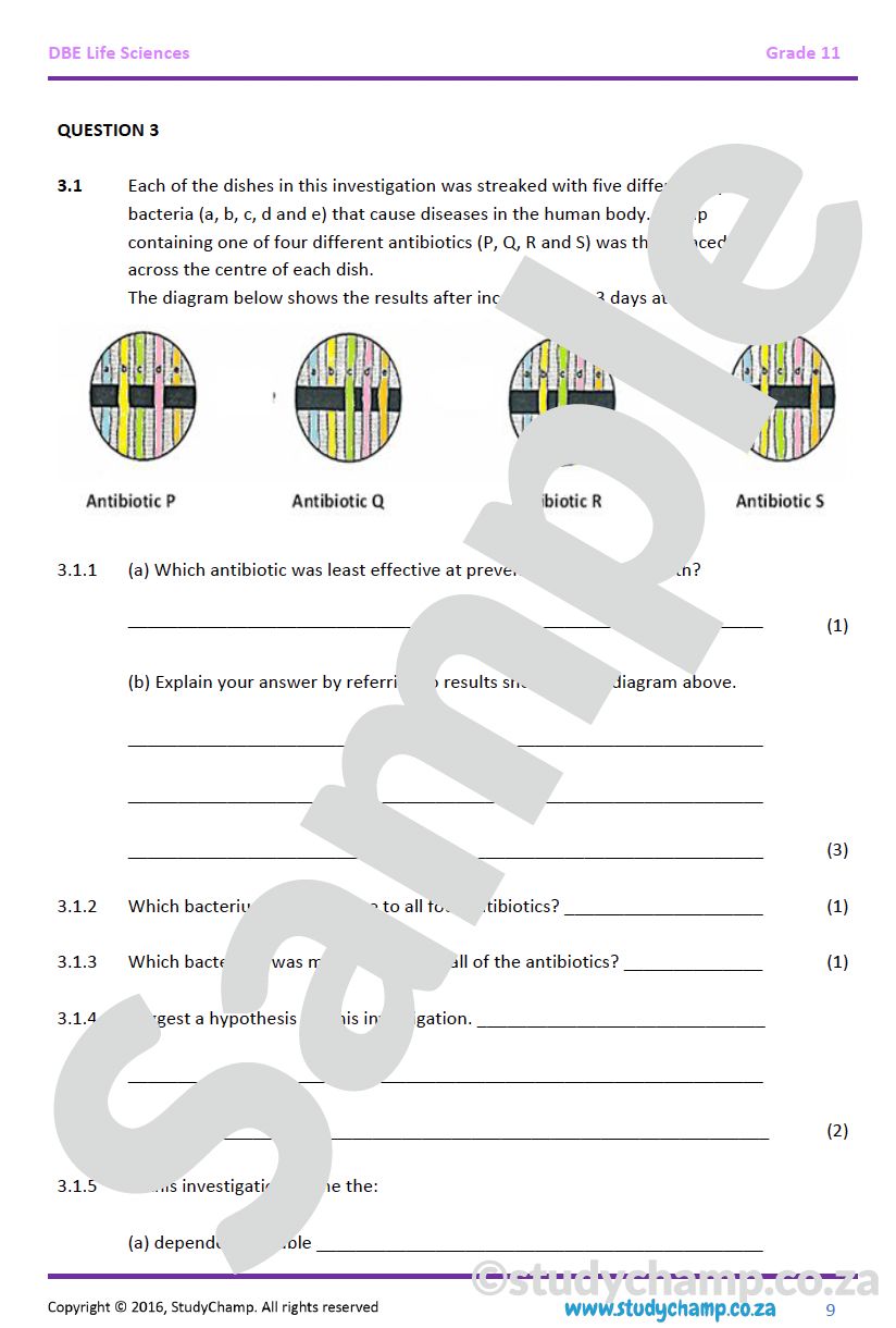 Grade 11 Life Sciences Test (DBE): Photosynthesis, Human nutrition and Respiration