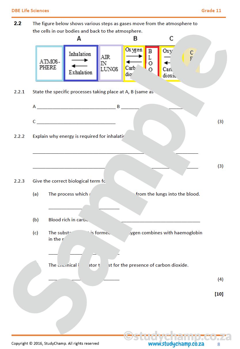 Grade 11 Life Sciences Test (DBE): Excretion, Gaseous Exchange and Population Ecology