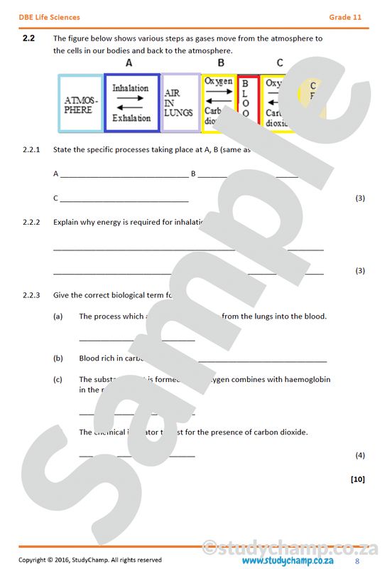 Grade 11 Life Sciences Test (DBE): Excretion, Gaseous Exchange and Population Ecology