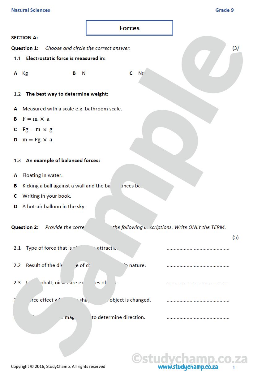 Grade 9 Natural Sciences Test: Forces