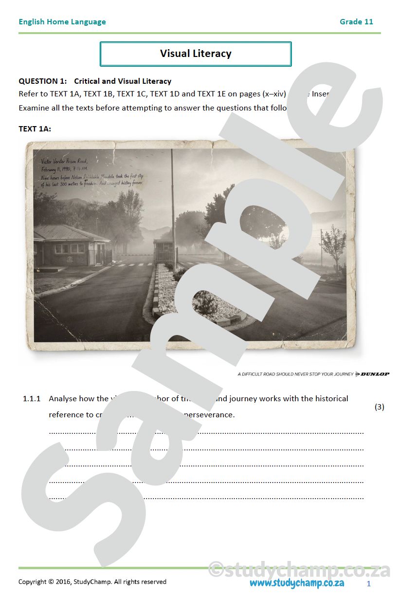 Grade 11 IEB English: Visual Literacy - Cars