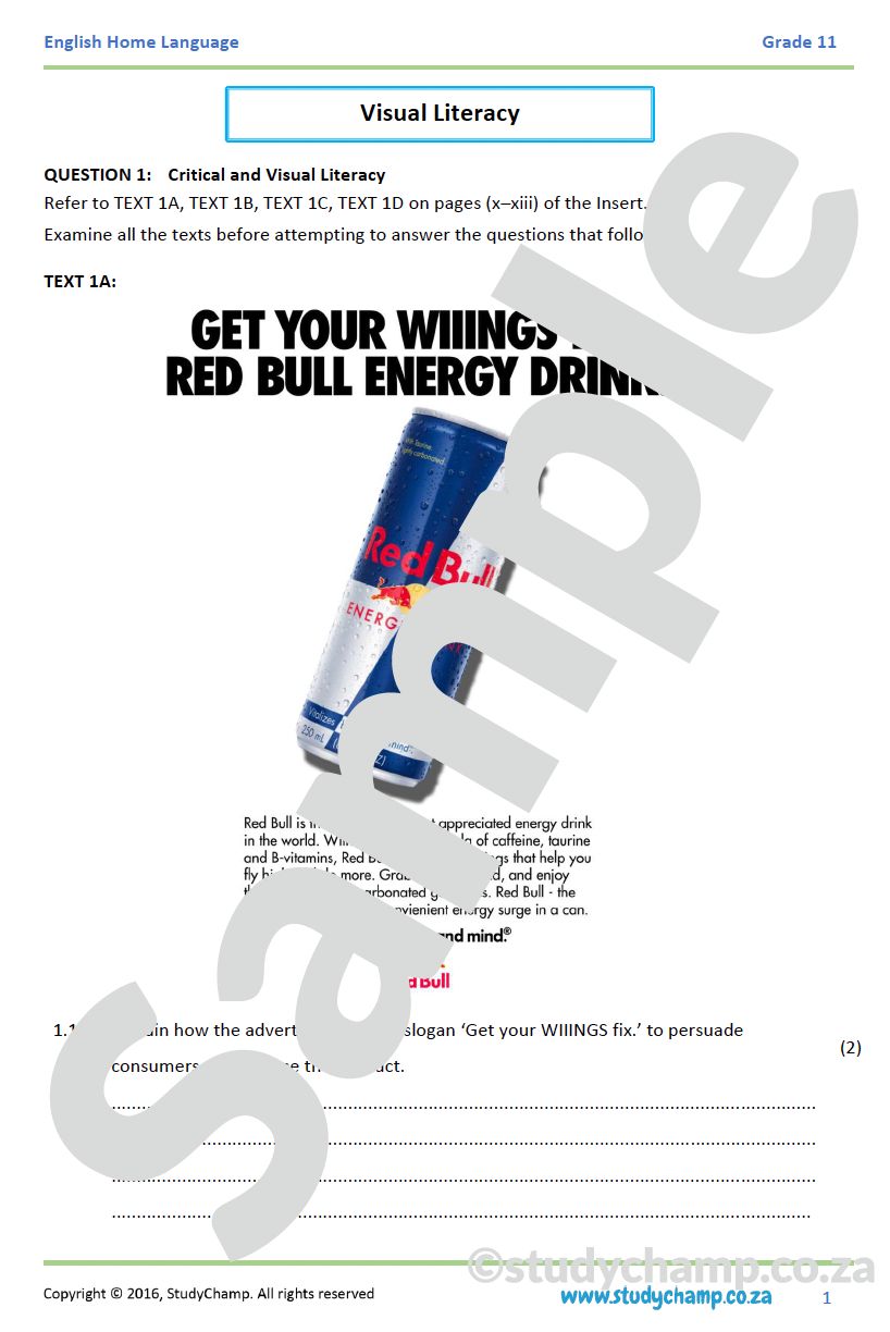 Grade 11 IEB English: Visual Literacy - RedBull