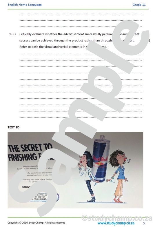 Grade 11 IEB English: Visual Literacy - RedBull