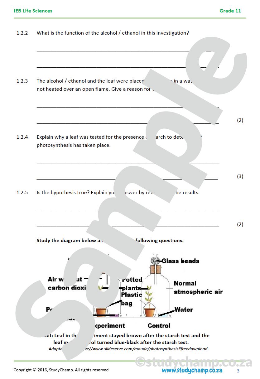 Grade 11 Life Sciences Test: Practical  - Photosynthesis