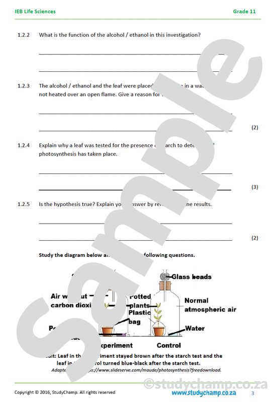 Grade 11 Life Sciences Test: Practical  - Photosynthesis