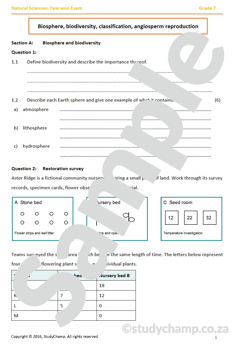 Grade 7 Natural Sciences: Year-end Exam