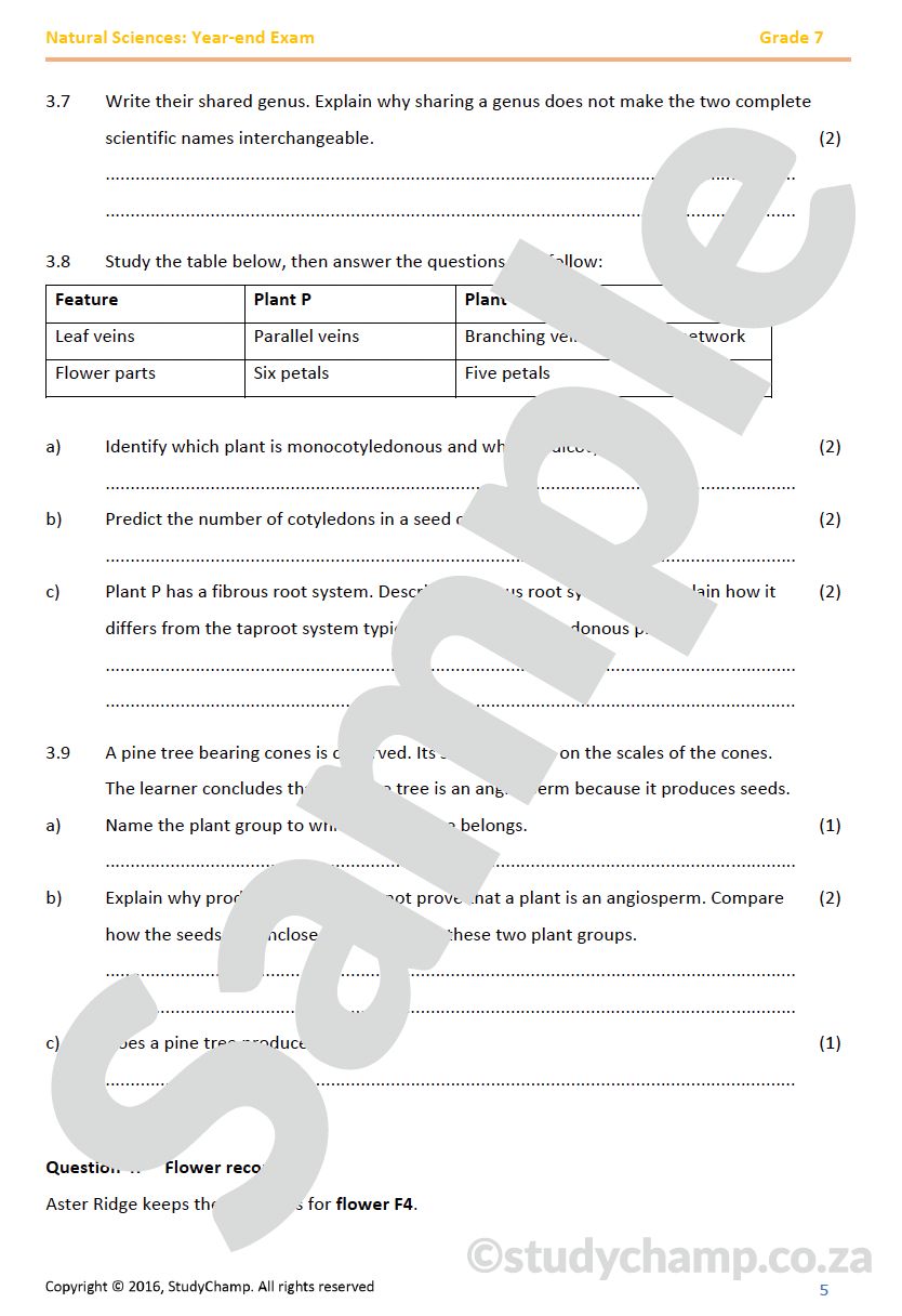 Grade 7 Natural Sciences: Year-end Exam