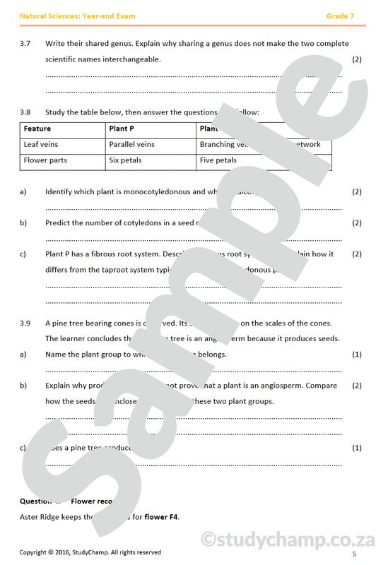 Grade 7 Natural Sciences: Year-end Exam