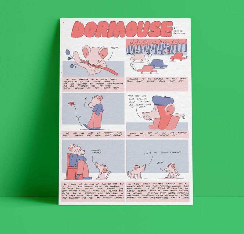 Dormouse by George Ratcliffe
