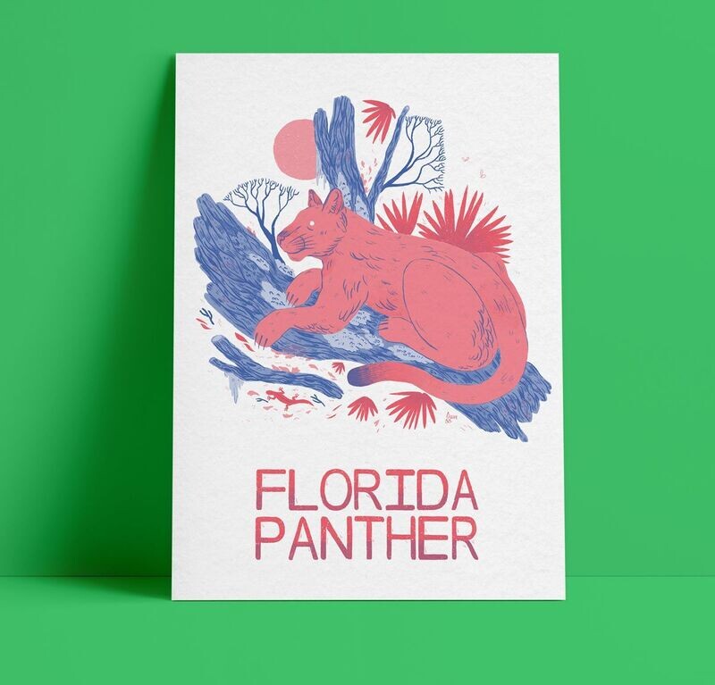 Florida Panther by AnneMarie Rogers