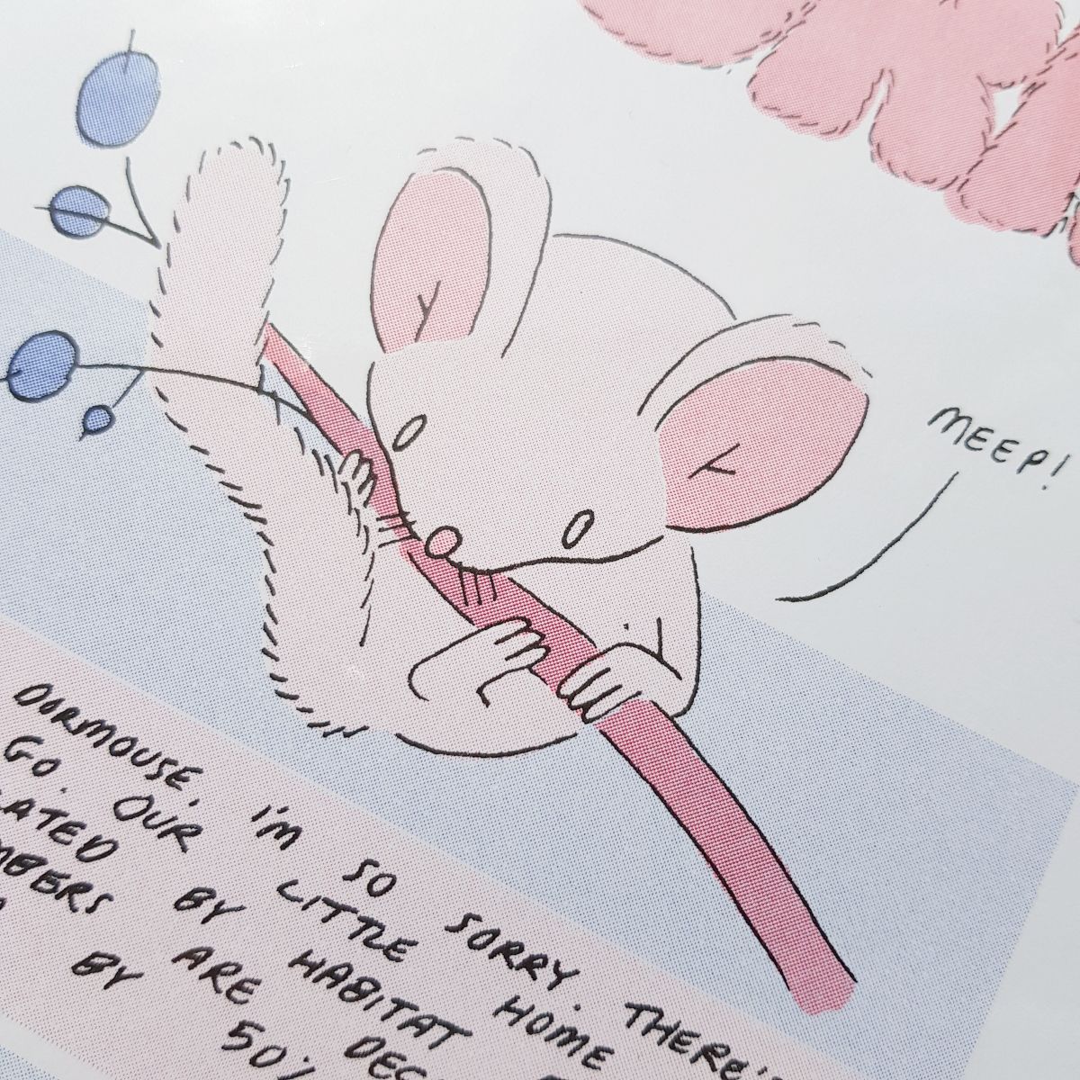 Dormouse by George Ratcliffe