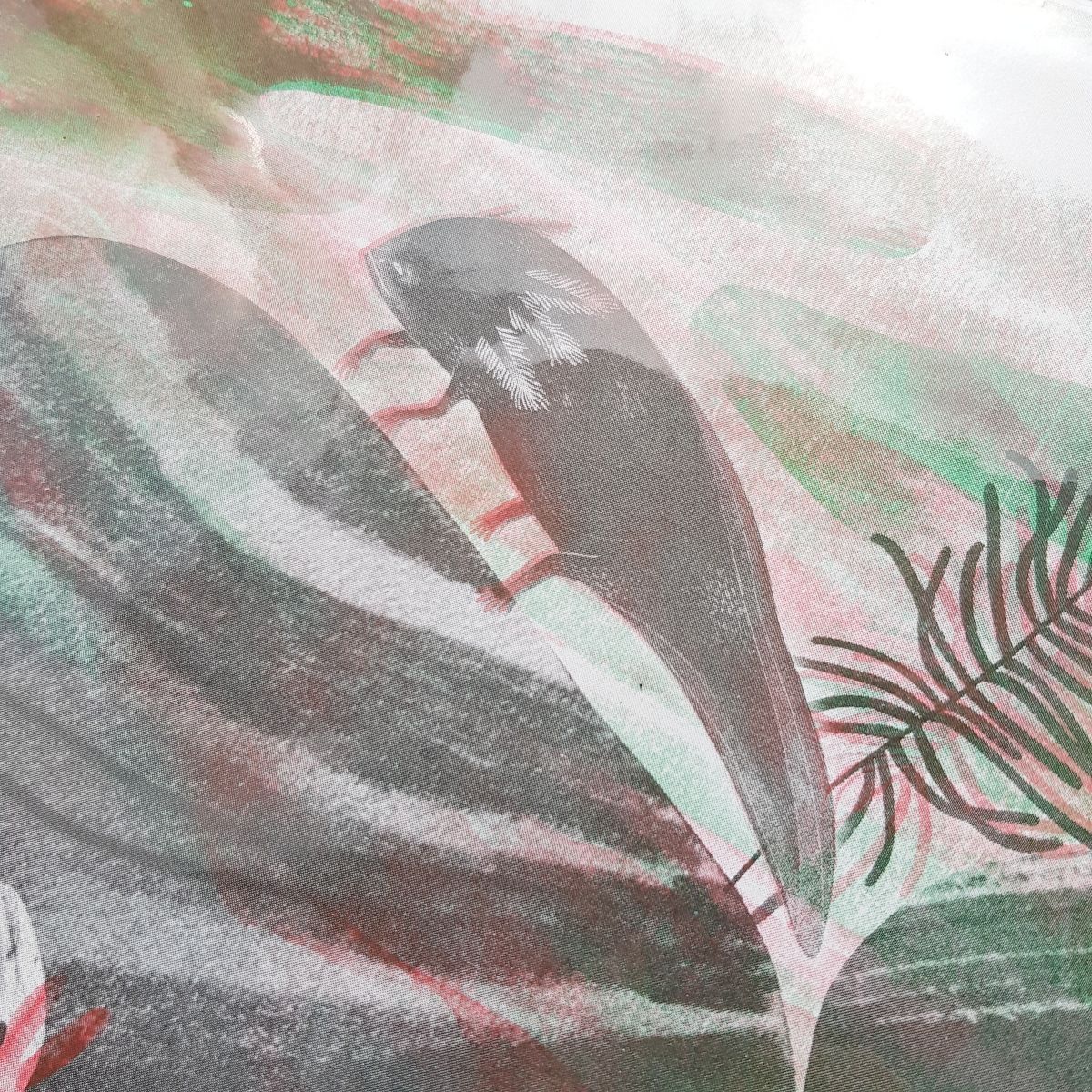 Axolotl by Janie Anderson