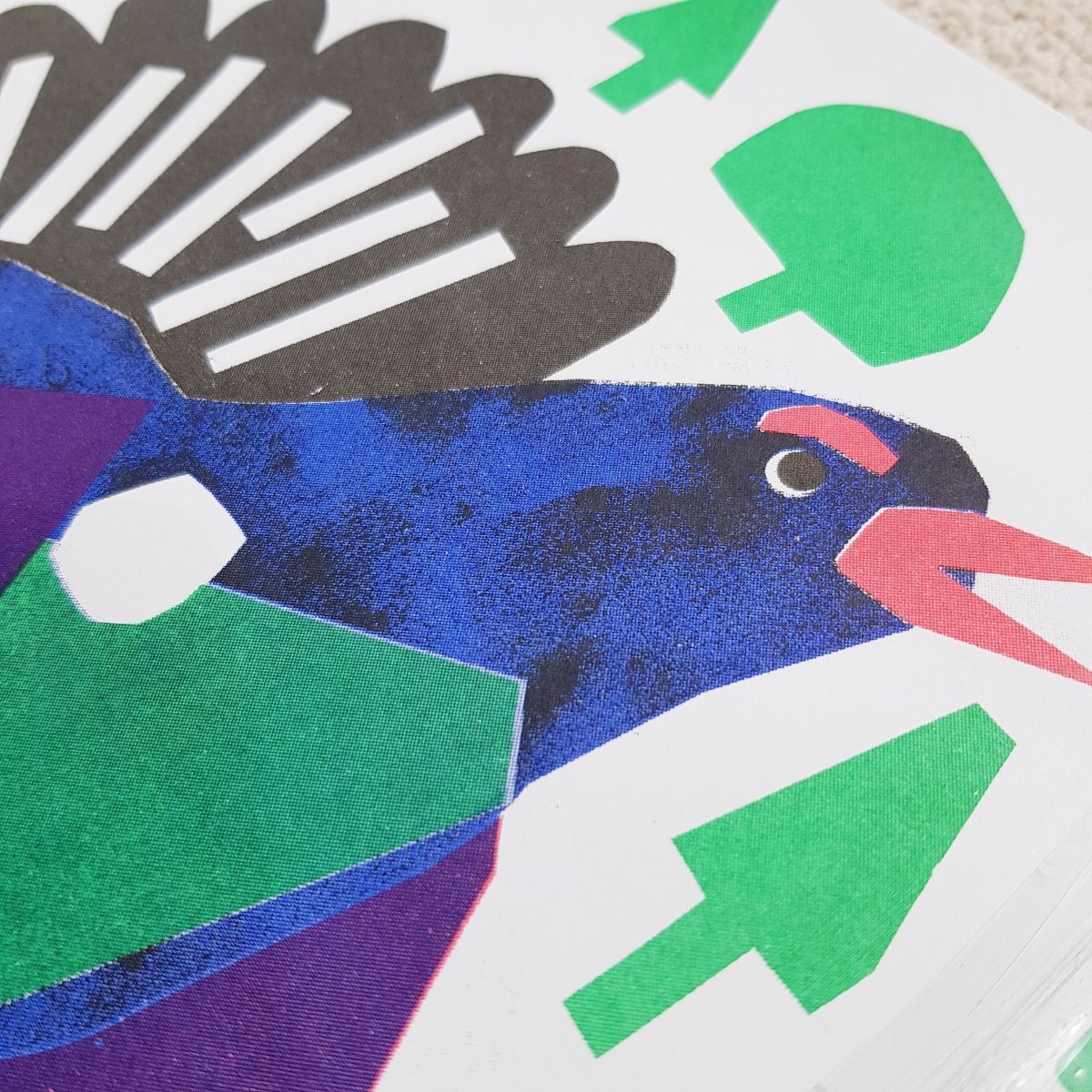 Capercaille by Lizzie Lomax