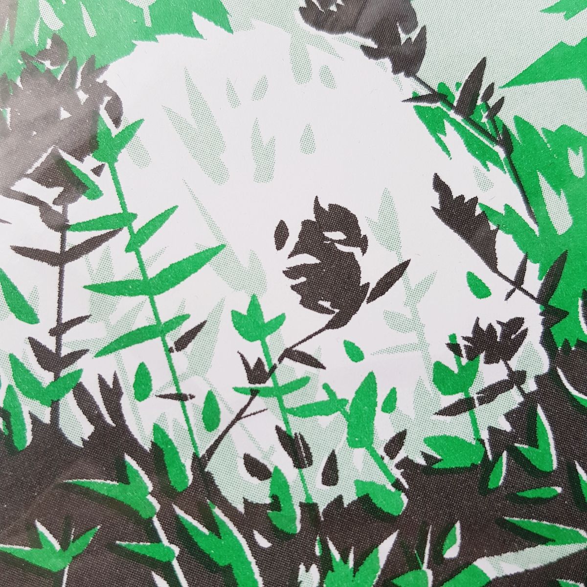 Giant Panda by Edward Tuckwell