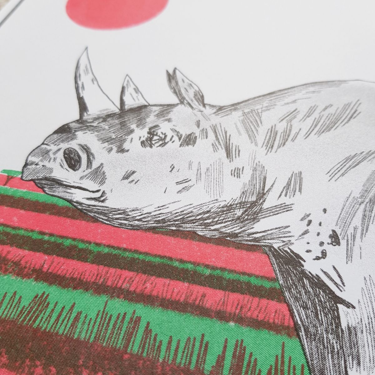 Rhino by Aleesha Nandhra