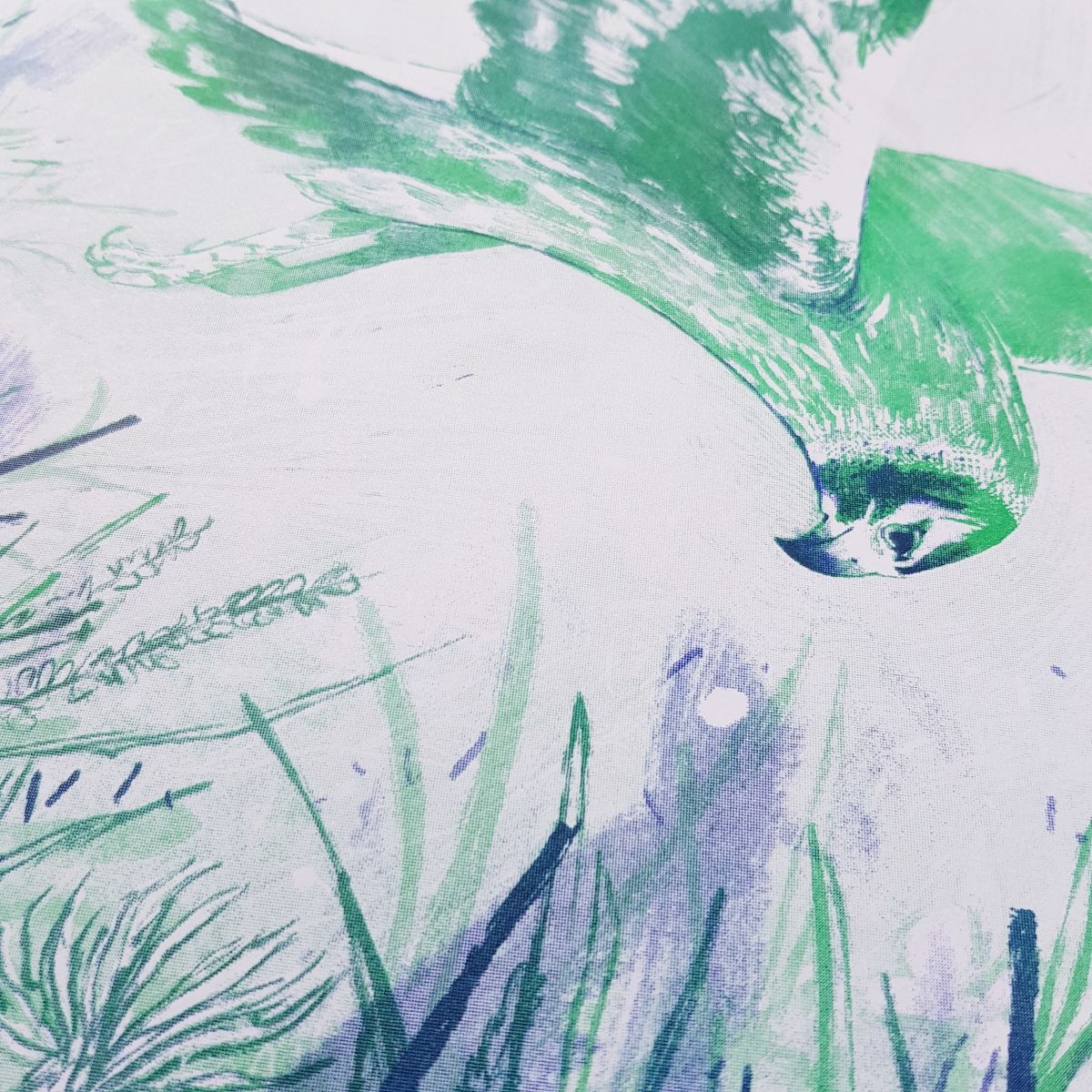 Hen Harrier by Joe Lillington