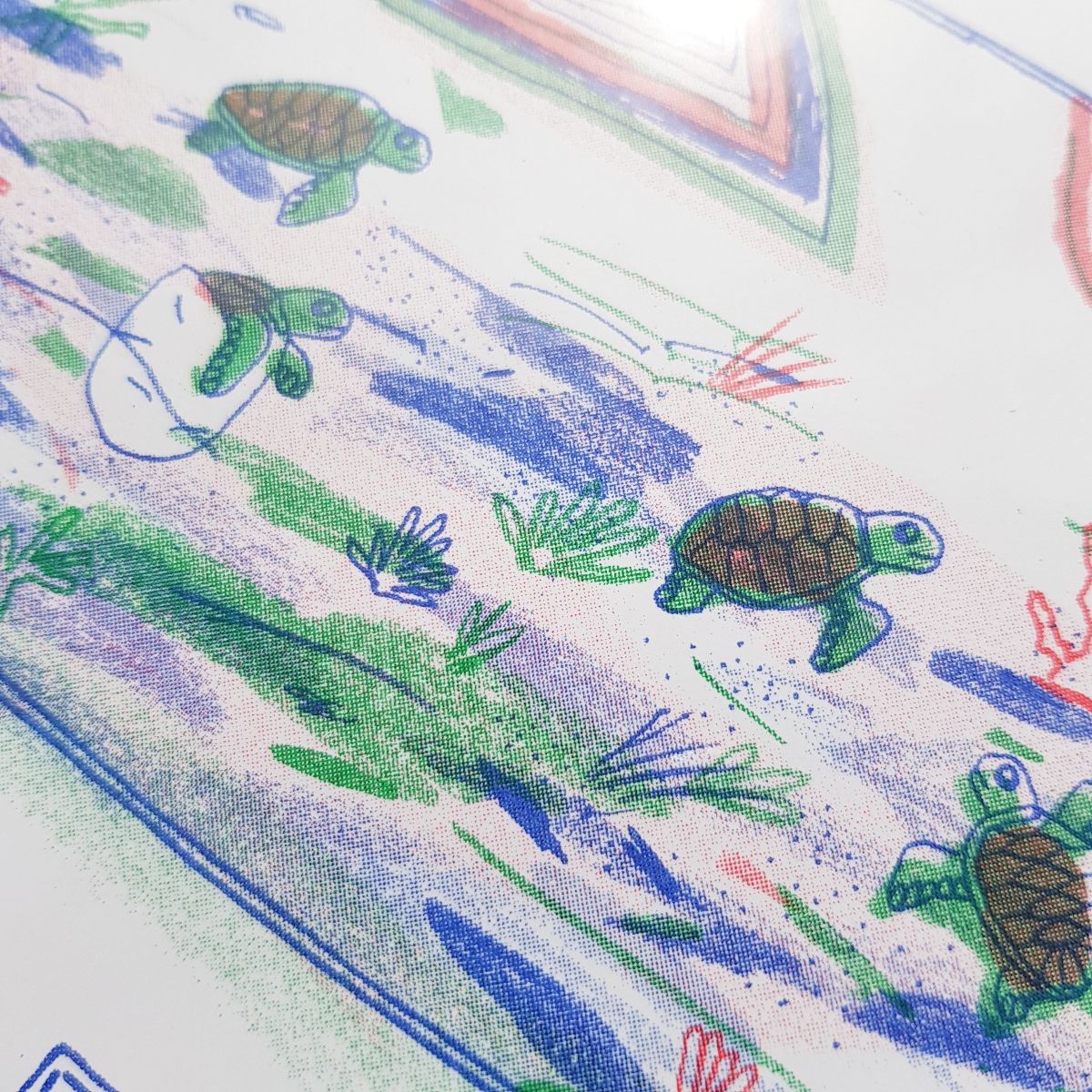 Hawksbill Turtle by Dieter De Schutter