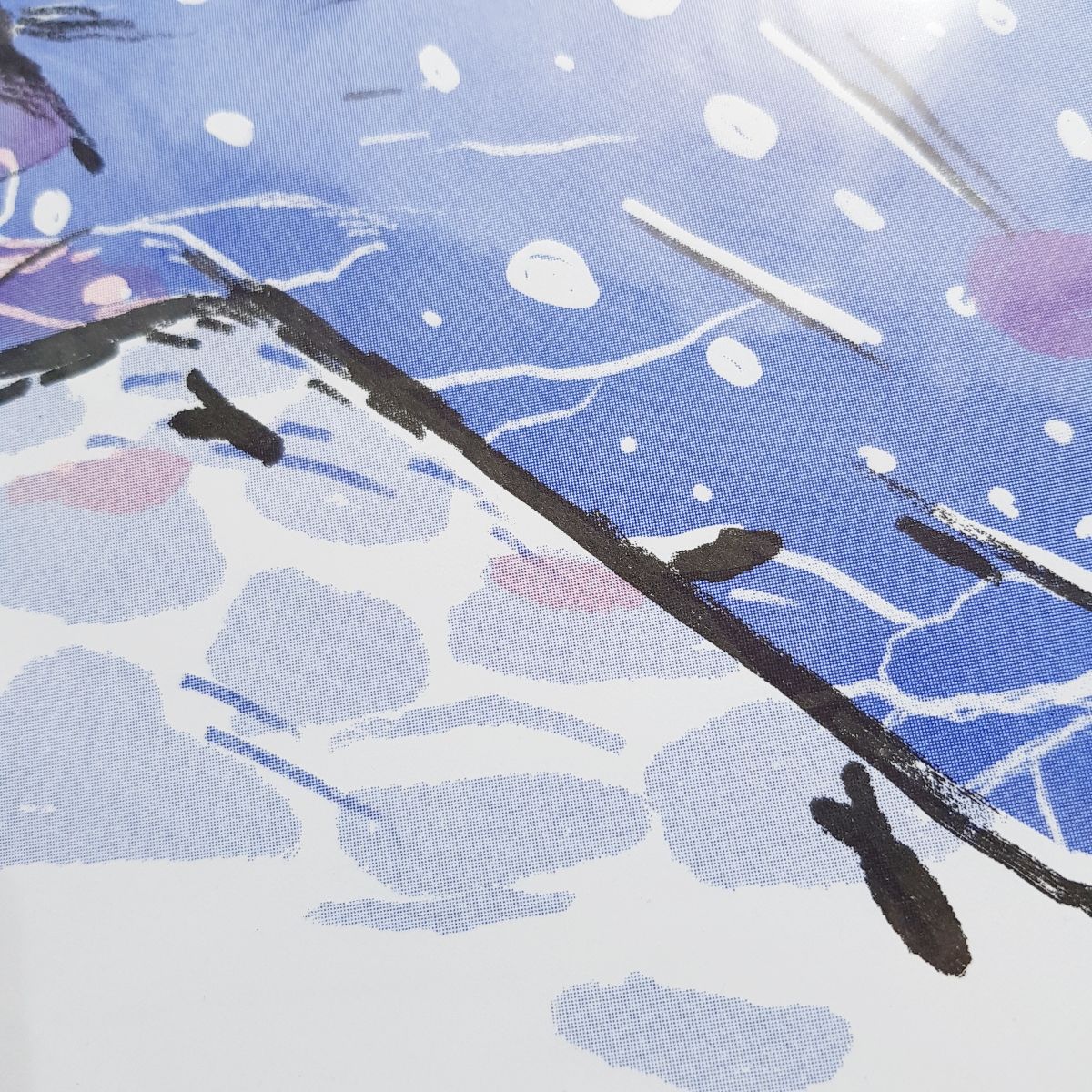 Whale Shark by B Mure