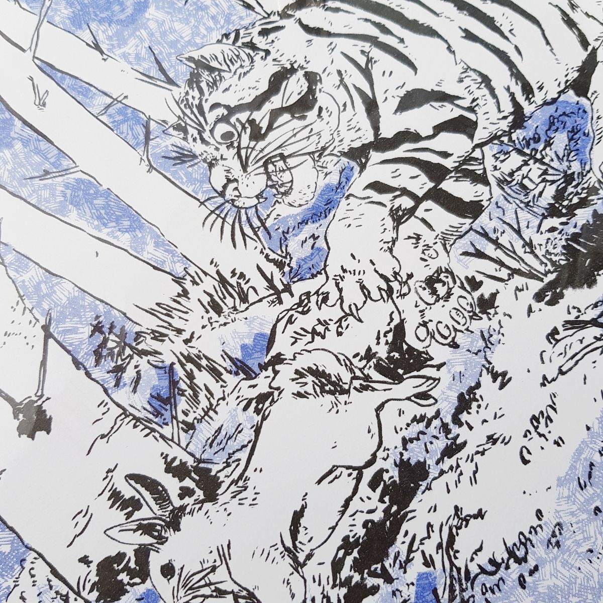 Scottish Wildcat by Jenny Mure