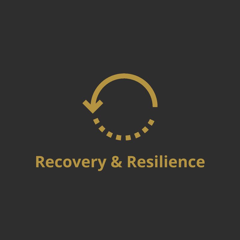 Recovery &amp; Resilience Program